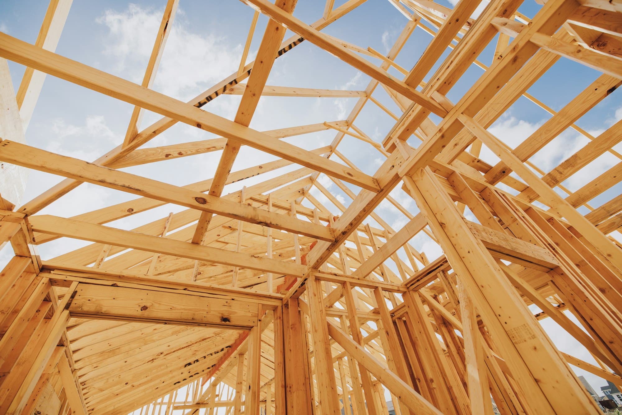 Timber structure during erection